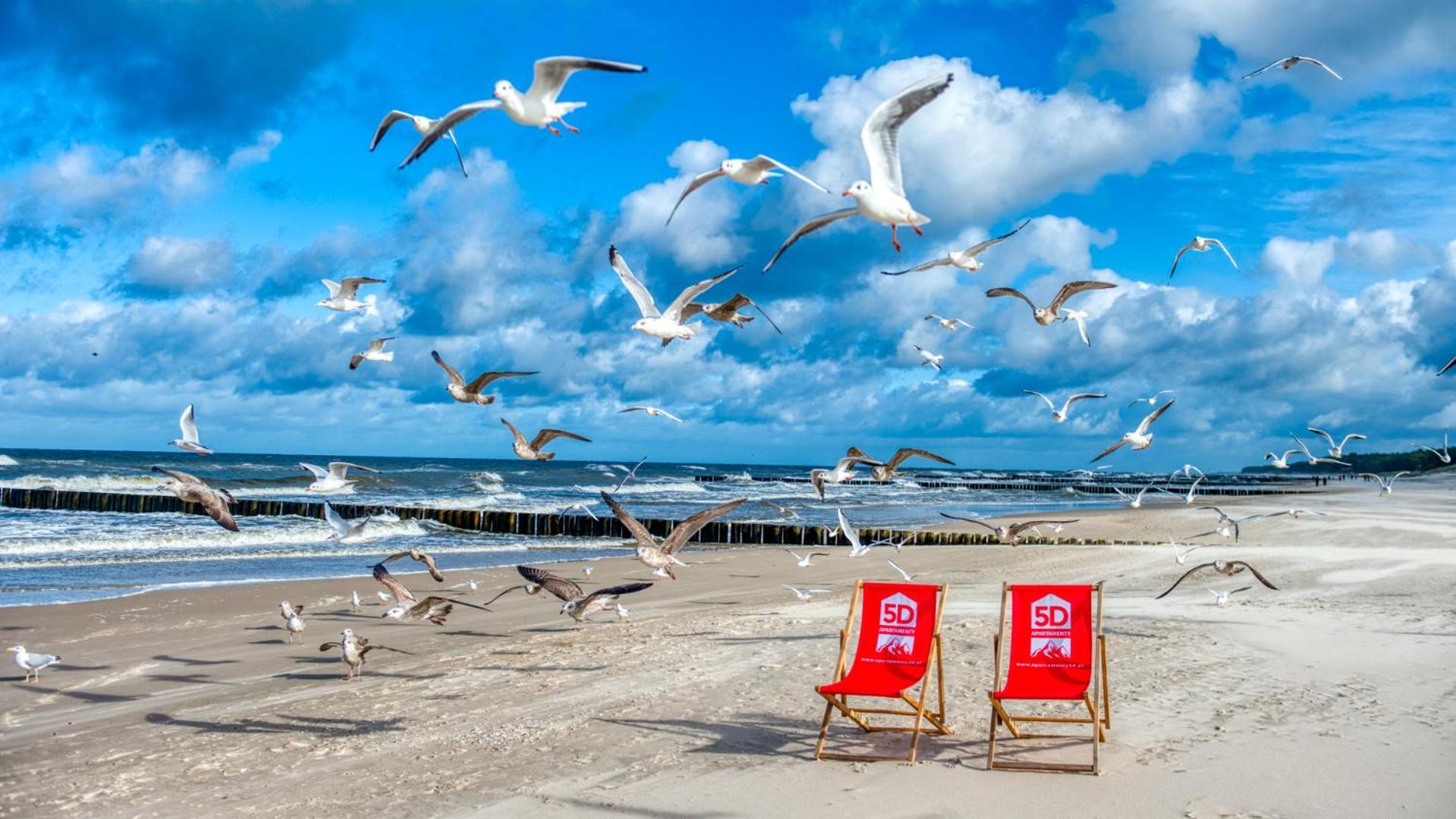 Rezydencja Niechorze 208 Z 2 Sypialniami I 2 Lazienkami Przy Plazy - 5D Apartamenty Dış mekan fotoğraf